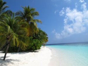 Global Warming: Maldives beach